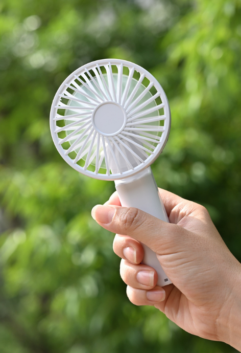 Fan